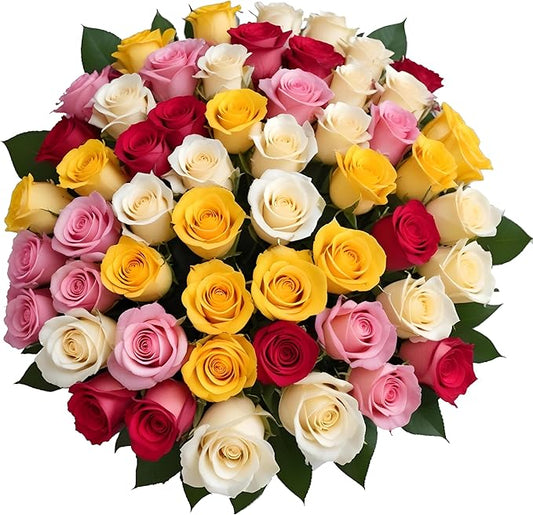 50 Rainbow Roses Assorted Mixed Color Bulk Bouquet by Arabella Bouquets